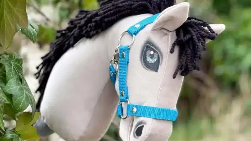 Hobby Horse – nowa pasja Twojego dziecka