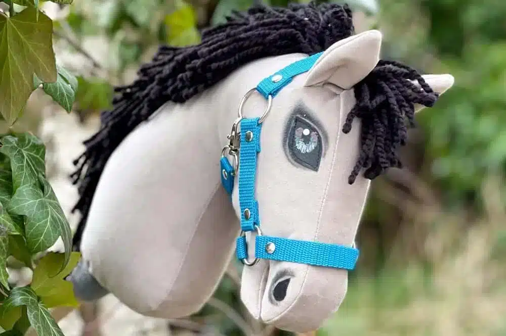Hobby Horse – nowa pasja Twojego dziecka