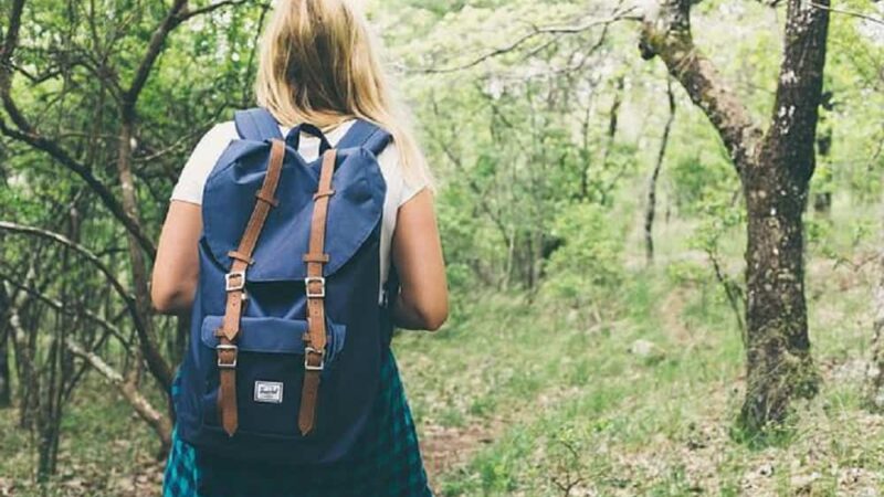 Najlepsze plecaki szkolne – jak wybrać i na co zwrócić uwagę?